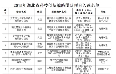虹识技术入选“2015年湖北省创新创业战略团队项目”